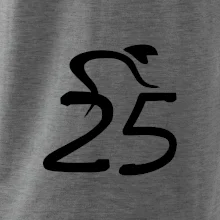 Cyklista slaví pětadvacítku (25)