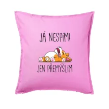 Já nespím, jen přemýšlím