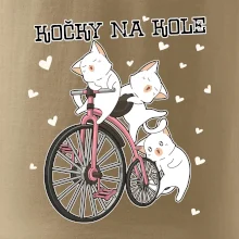 Kočky na kole
