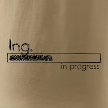 In progress  titul Ing. inženýr / inženýrka