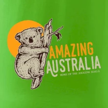Amazing Australia koala