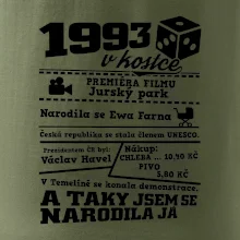 1993 v kostce