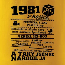1981 v kostce