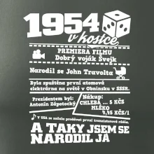 1954 v kostce