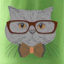 Hipster britská modrá