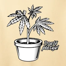 Konopi prostě pěstuju