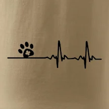 Veterinář EKG