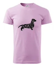 Jezevčík - Dachshund