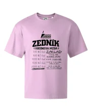 Hodinová mzda zedník