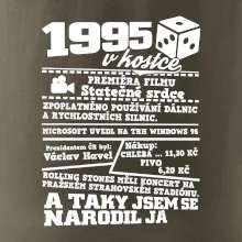 1995 v kostce