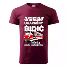 Jsem ukázněný řidič - tramvaj