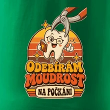 Odebírám moudrost na počkání