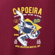 Capoeira  Afro-brazil art