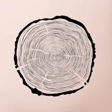 Letokruhy 65 bez věku