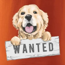 Zlatý retriever - štěně wanted
