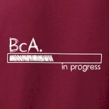 In progress  titul BcA. bakalář / bakalářka umění