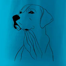 Labrador černá kresba