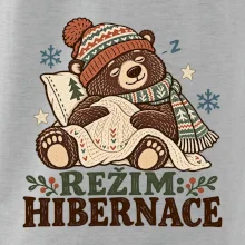 Rodinná vánoční trička - Režim hibernace zimní medvěd táta
