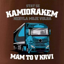 Stát se kamioňákem nebyla moje volba