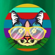 Kočka při barevném západu