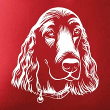 Kokršpaněl - hlava kreslená