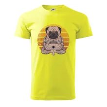 Yoga meditace - pug