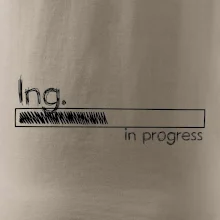 In progress  titul Ing. inženýr / inženýrka