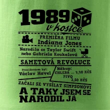 1989 v kostce