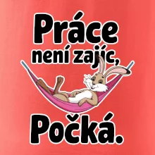 Práce není zajíc, počká.