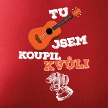 Tu kytaru jsem koupil kvůli tobě