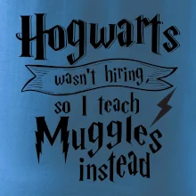Harry - Hogwarts wasn’t hiring, so I teach Muggles instead