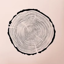 Letokruhy 85 bez věku