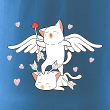 Kočky Amorův šíp