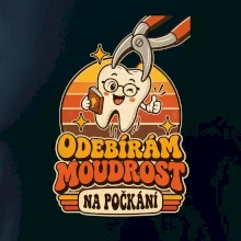 Odebírám moudrost na počkání