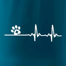 Veterinář EKG