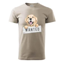 Zlatý retriever - štěně wanted