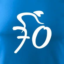 Cyklista slaví sedmdesátku (70)