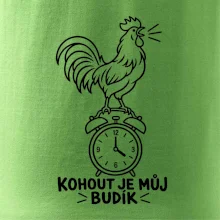 Kohout jako ranní budík