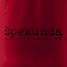 Čeština 2.0 - spalouch