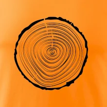 Letokruhy 20 bez věku