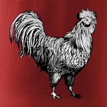 Kohout kreslený černobílý