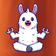 Yoga meditace - lama