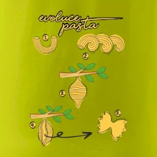 Evoluce pasta