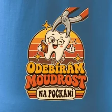 Odebírám moudrost na počkání
