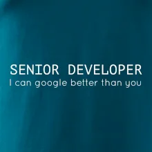 Senior developer google better than you