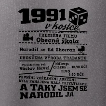 1991 v kostce