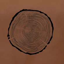 Letokruhy 75 bez věku