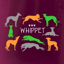 Whippet barevný