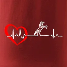 Moje srdce bije pro koně