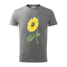 Slunečnice otočená